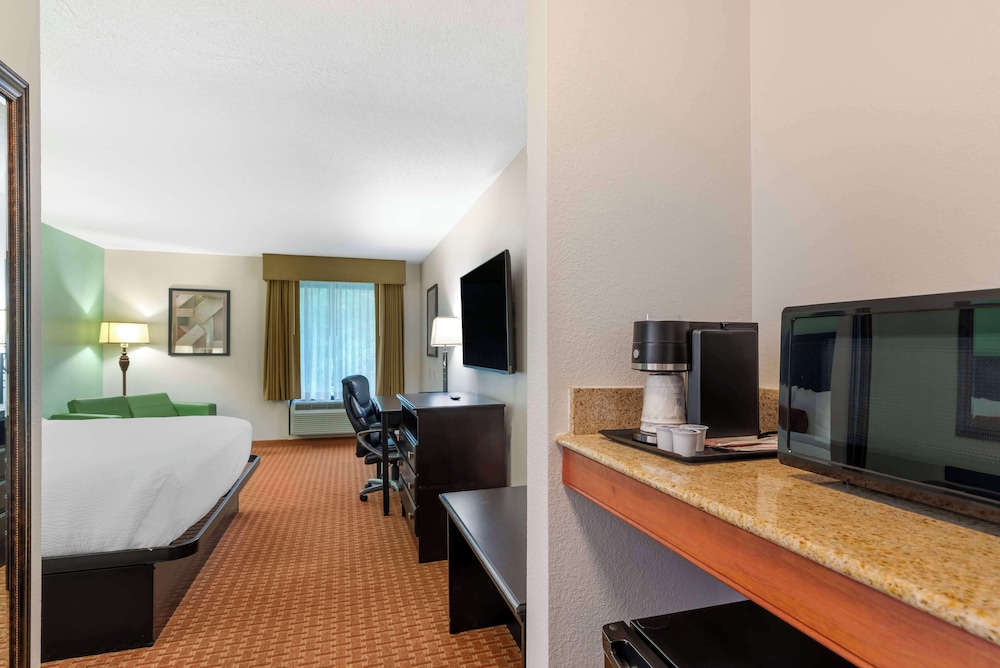 Standard Room, 1 King Bed, Non Smoking, Kitchenette (with Sofabed) photo 1