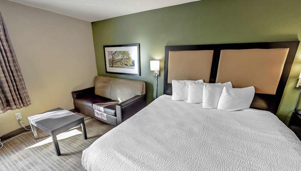 Suite, 1 King Bed, Non Smoking (Efficiency) - Photo 4