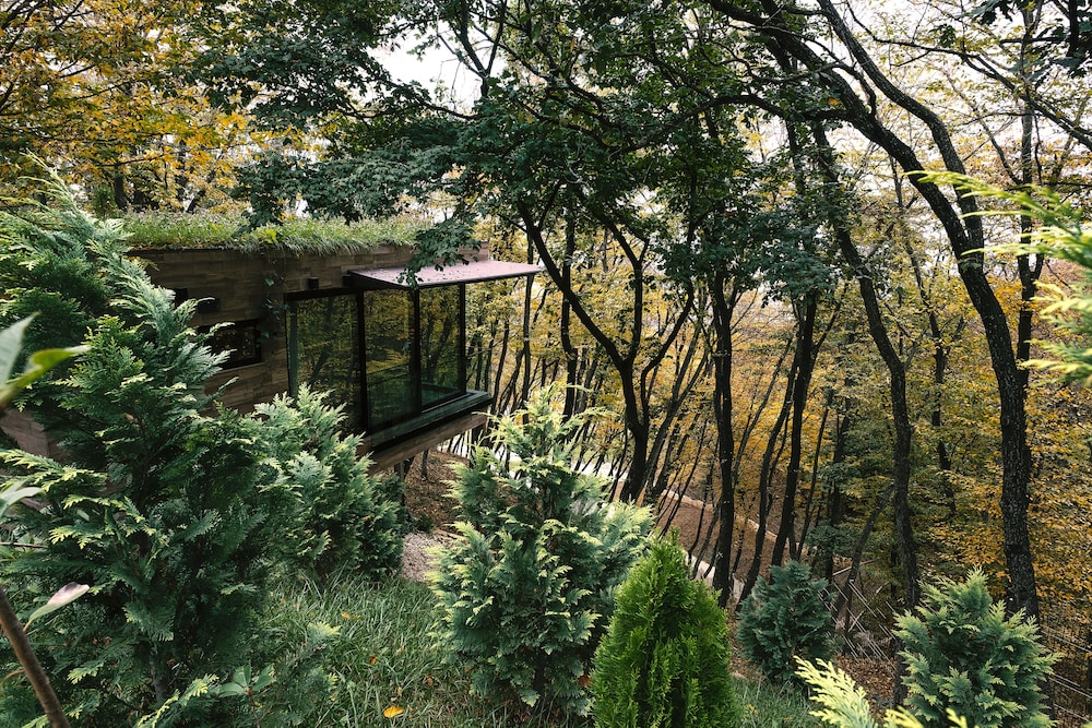 Premium Cottage, 1 Bedroom - Photo 4