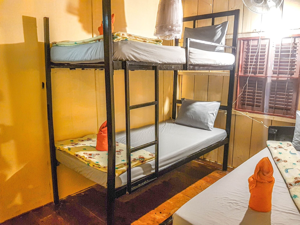 Basic Shared Dormitory photo 1