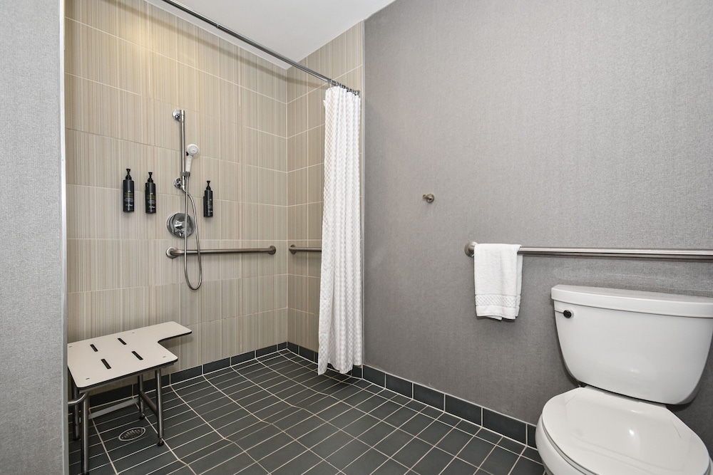 Room, 1 King Bed (Mobility Accessible, Roll-In Shower) - Photo 5