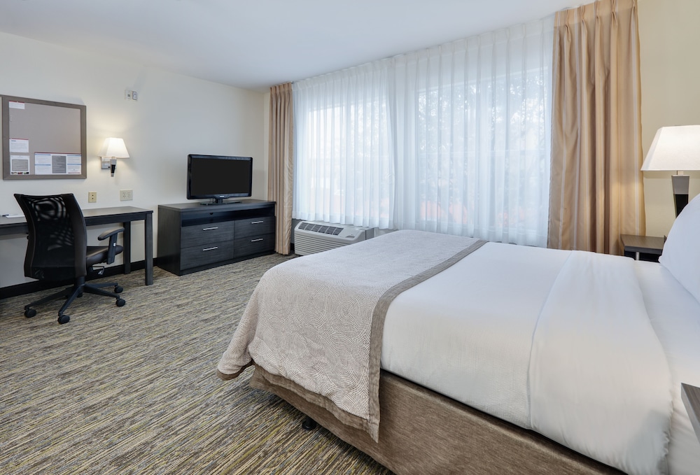Suite, 1 Bedroom - Photo 7