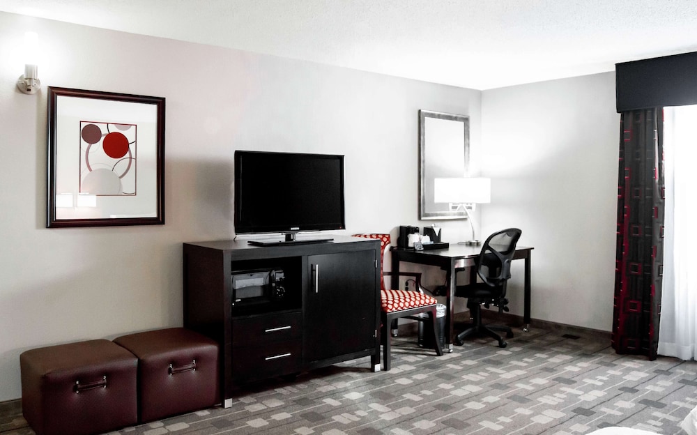 Studio, 1 King Bed With Sofa Bed, Accessible (Mobility Accessible Roll-In Shower) - Photo 4