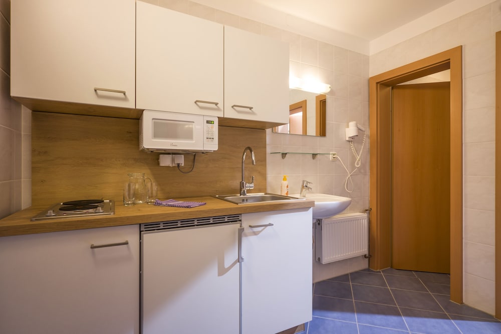 Standard Single Room, 1 Bedroom, Kitchen photo 2