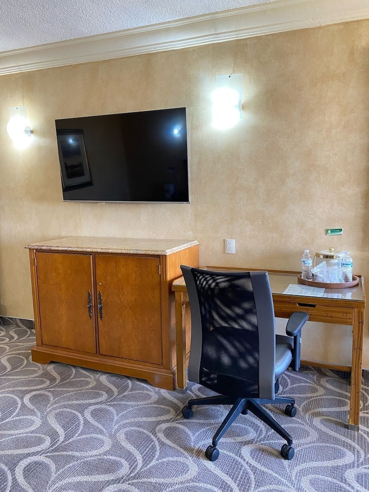 Executive Room photo 2