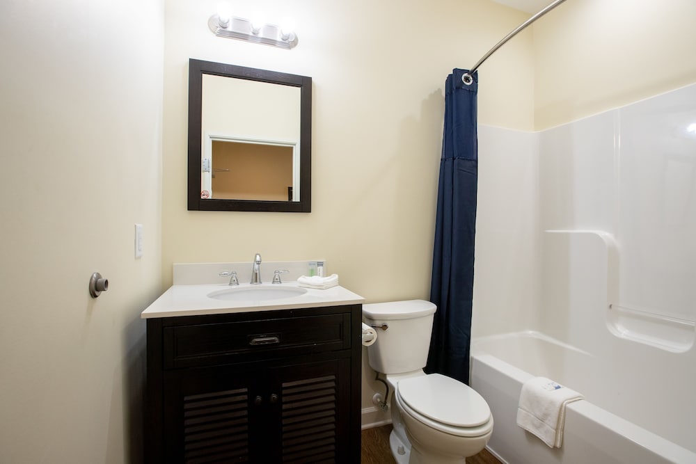 Superior Single Room, 1 King Bed photo 3