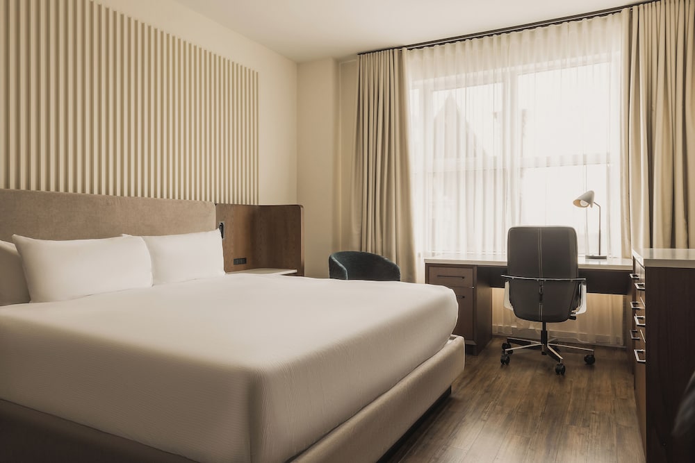Signature Room, 1 King Bed photo 1