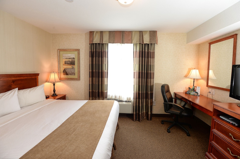Efficiency, Suite, 1 King Bed with Sofa bed, Smoking - Photo 1