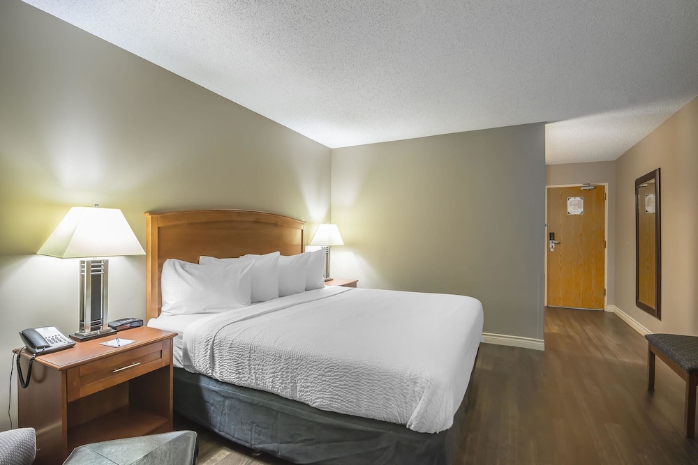 Business Room, 1 King Bed - Photo 9