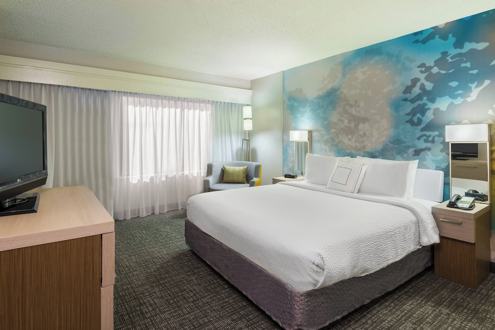 Suite, 1 King Bed with Sofa bed photo 1