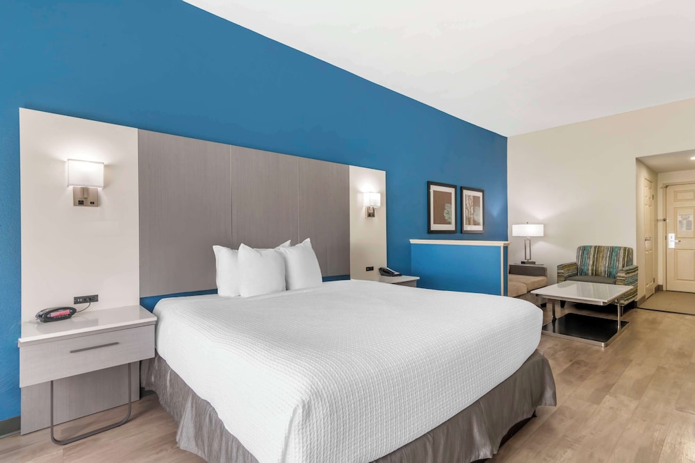 Standard Room, 1 King Bed, Non Smoking, Refrigerator & Microwave (with Sofabed) - Photo 2