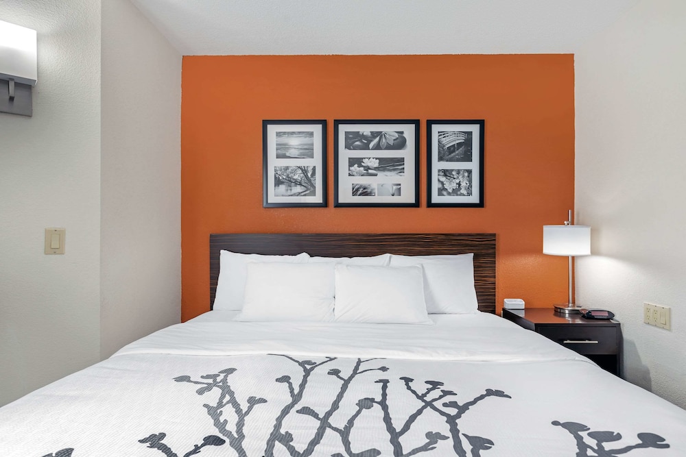 Standard Room, 1 Queen Bed, Non Smoking, Refrigerator & Microwave - Photo 3
