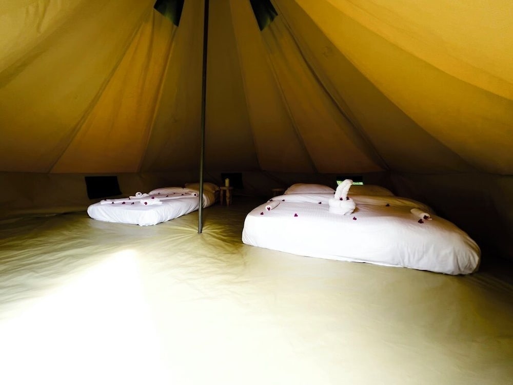 Campsite Tents