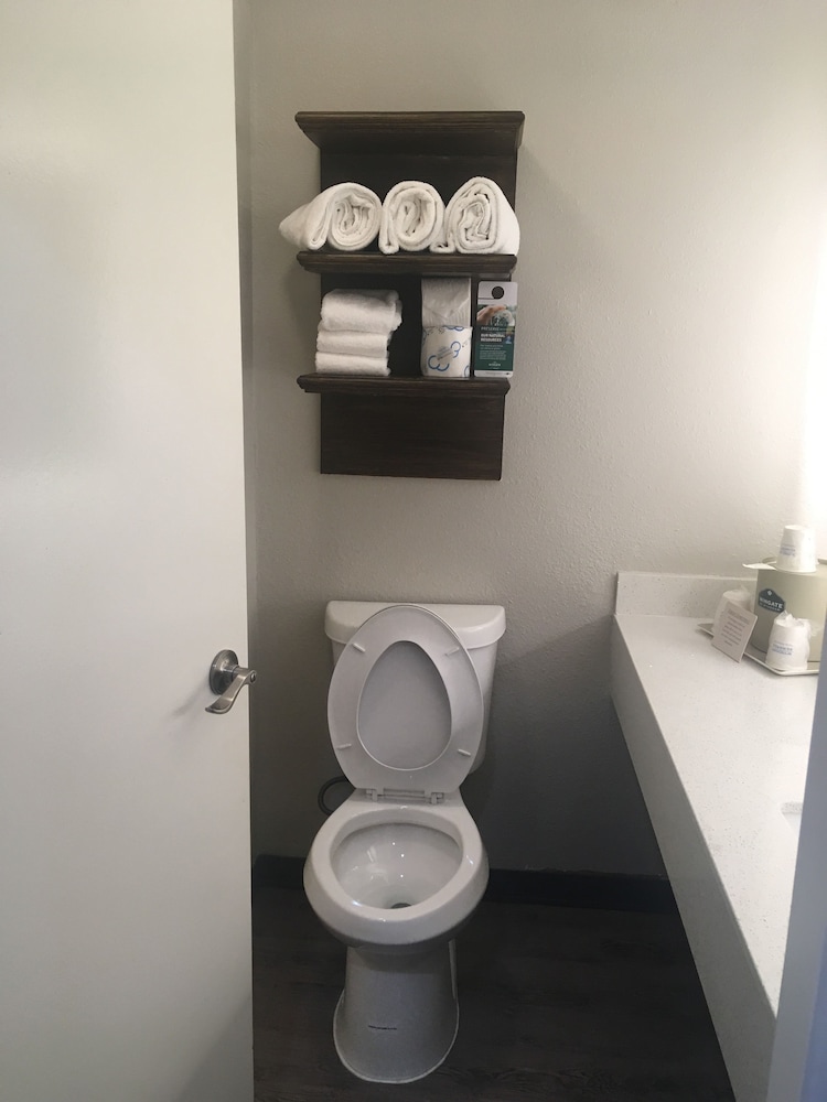Suite, 1 King Bed, Microwave - Photo 8