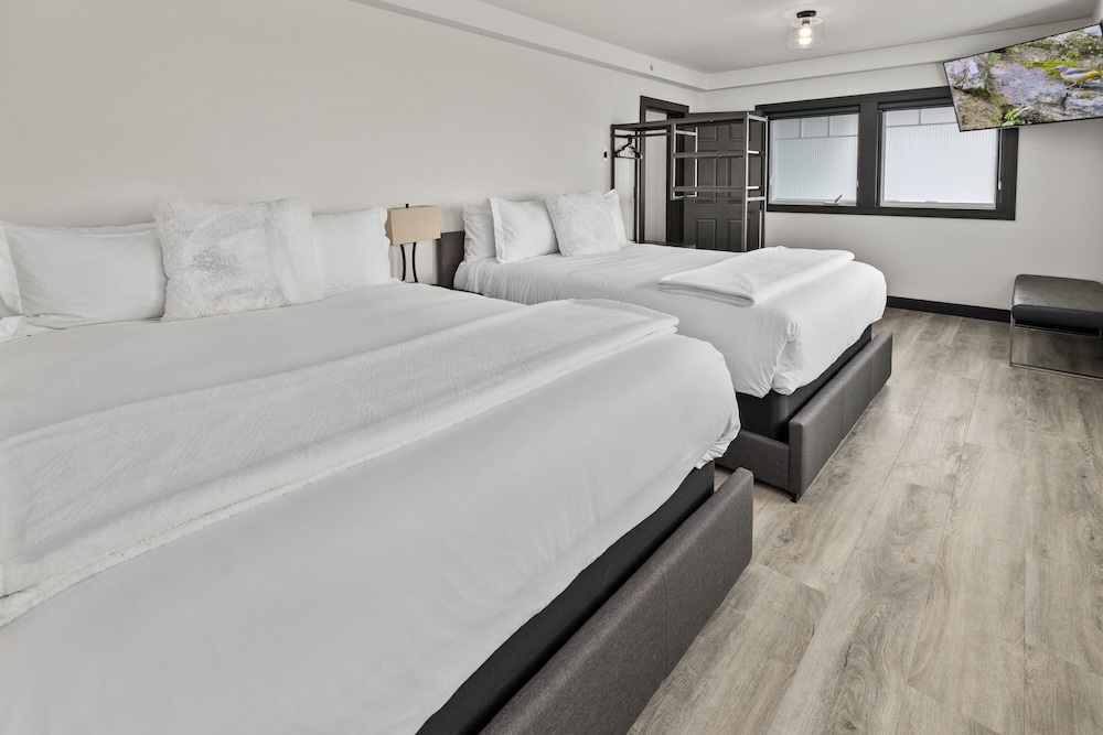 Comfort Suite (Not pet friendly) photo 2