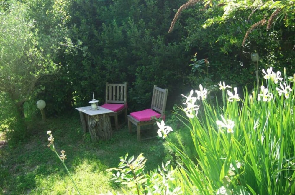 Classic Room, Garden View photo 2