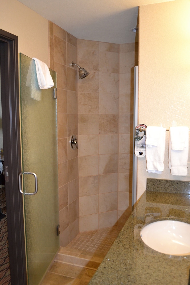 Suite, 1 King Bed with Sofa bed (Walk-In Shower)