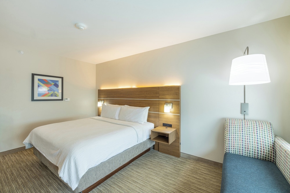Standard Room, 1 King Bed, Accessible (Mobility, Transfer Shower) - Photo 4