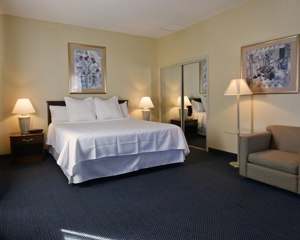 Suite, 1 King Bed photo 1