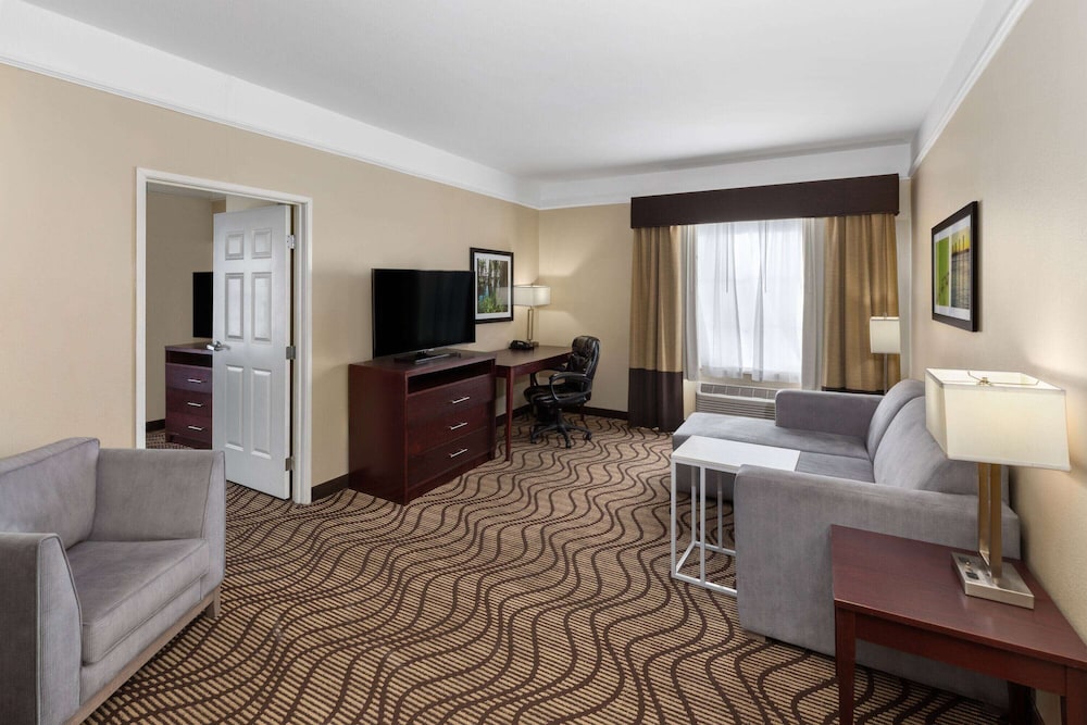 Suite, 1 King Bed, Non Smoking (Sofa Bed) - Photo 1