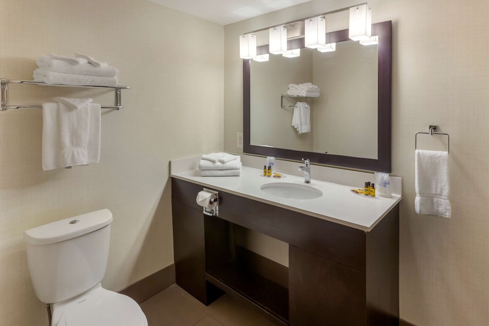 Suite, 1 King Bed, Non Smoking (with Sofabed) - Photo 4