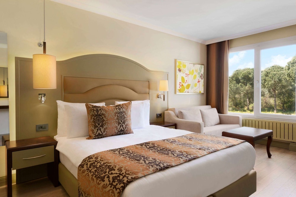 Deluxe Room, 1 Queen Bed photo 1
