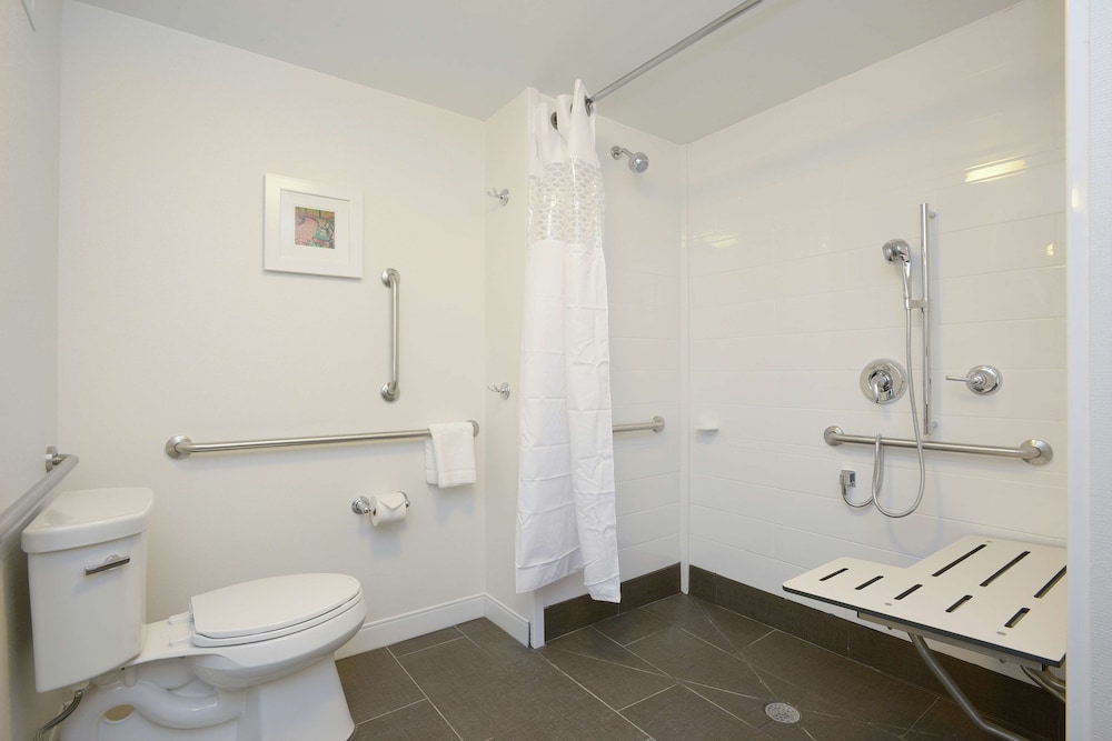 Room, 1 King Bed, Accessible, Non Smoking (Roll-in Shower)