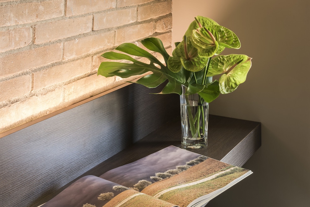 Luxury Studio Suite photo 3