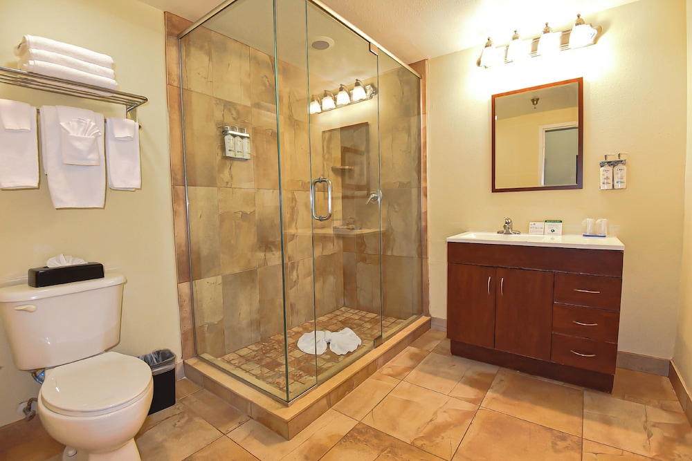 Suite, 1 Bedroom