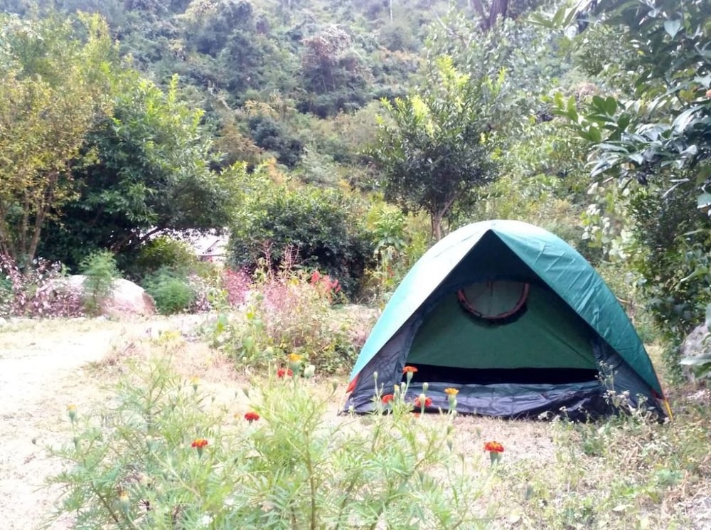Dome Tent photo 2