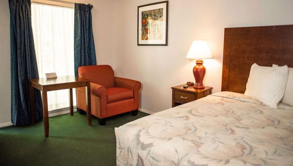 Comfort Single Room, 1 Queen Bed, Non Smoking photo 2