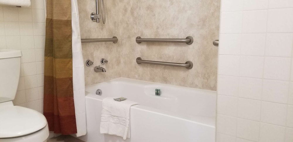 Standard Room, 1 King Bed, Accessible, Bathtub