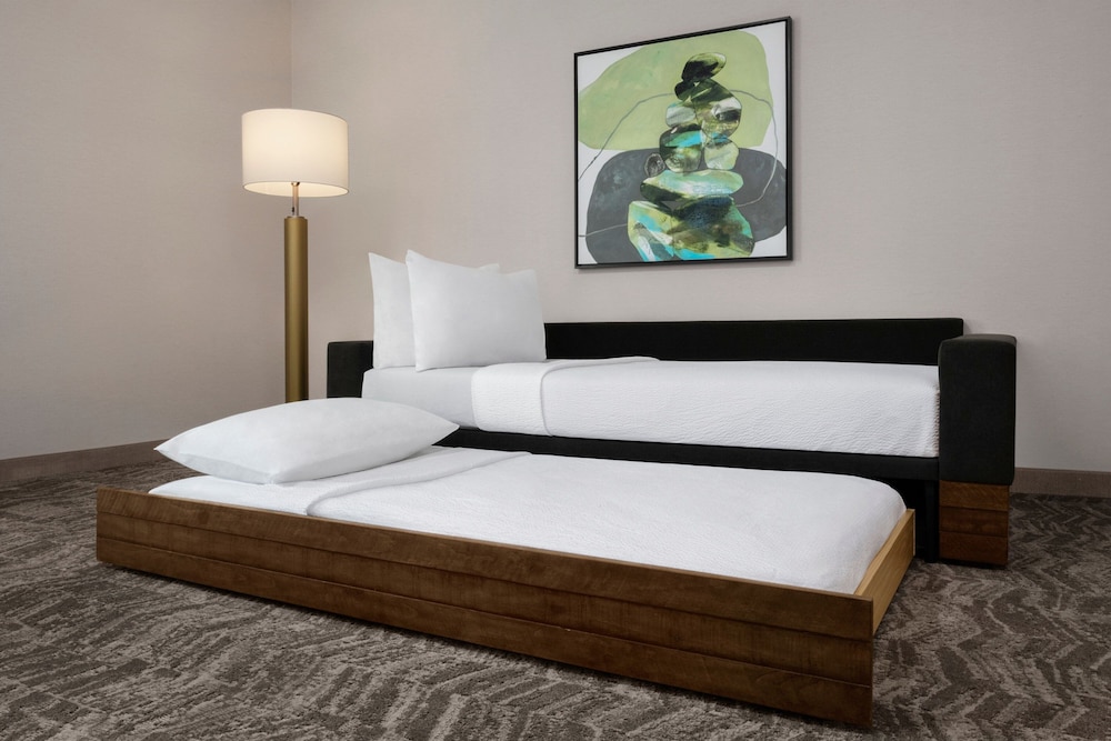 Studio Suite, 1 King Bed - Photo 2