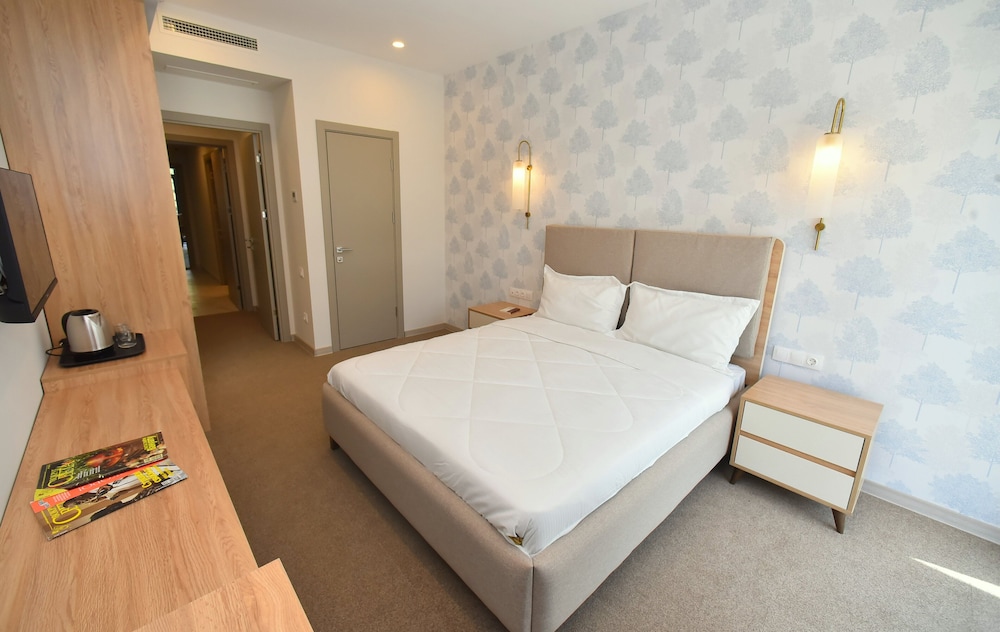 Deluxe Double Room photo 3
