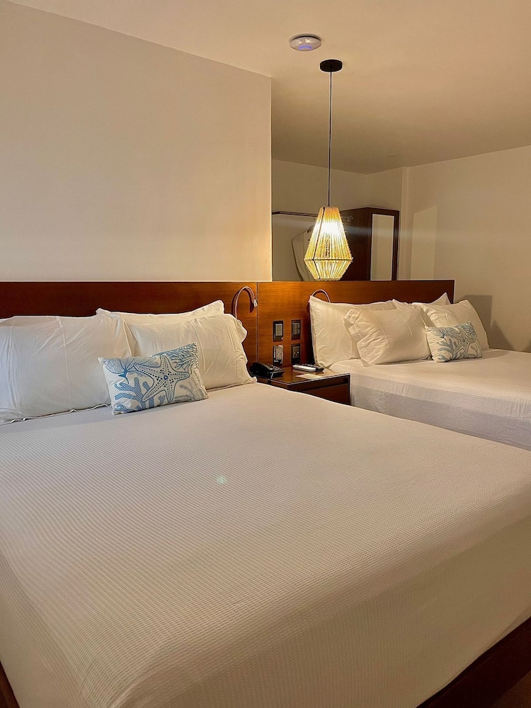 Comfort Suite - Photo 1