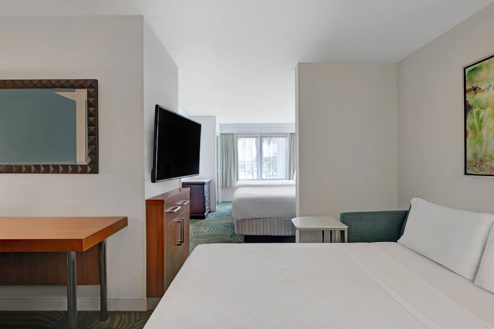 Suite, Multiple Beds (Pure) photo 3