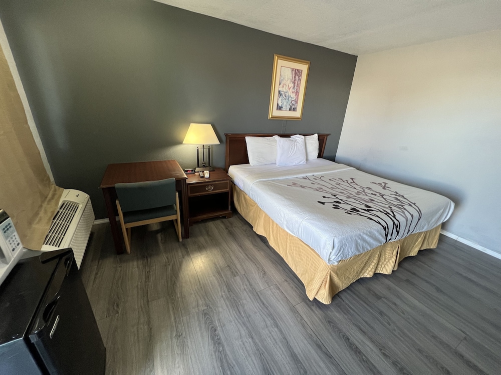 Room, 1 King Bed photo 1