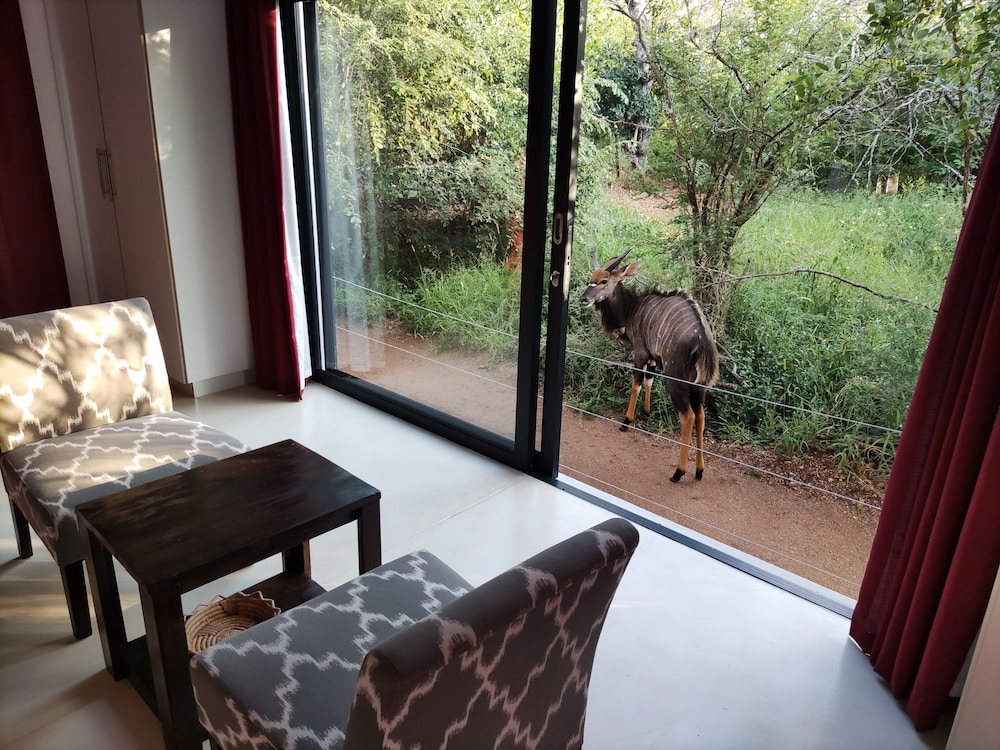 Luxury Room photo 2