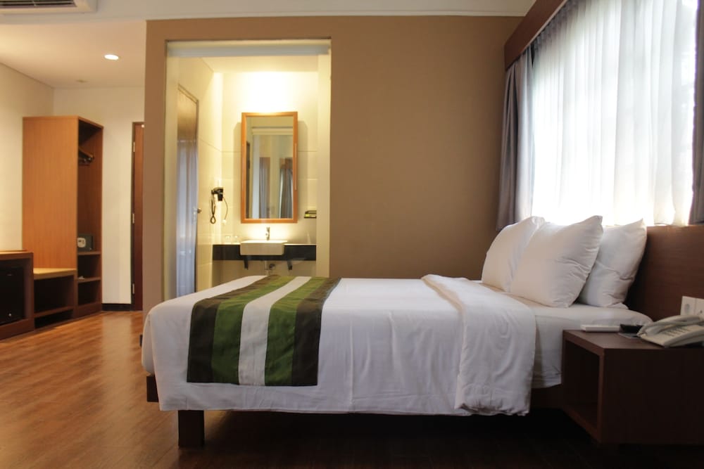 Deluxe Double Room photo 3
