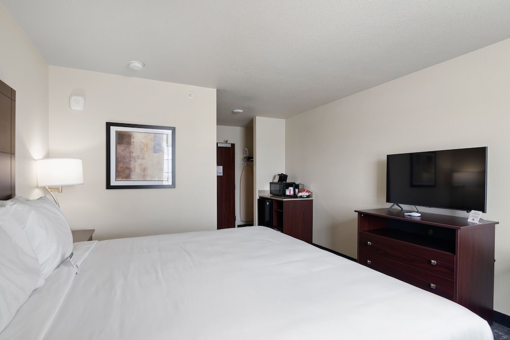 Room, 1 King Bed, Accessible, Non Smoking (Audible/Visual Alert) - Photo 2