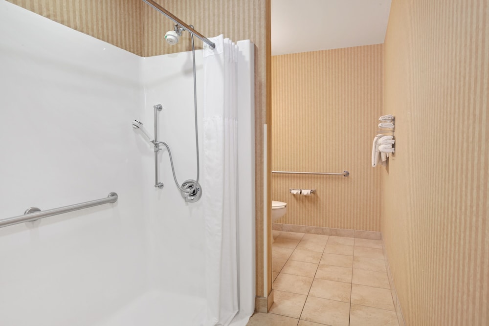Room, 1 King Bed, Accessible, Non Smoking (Mobility/Roll-In Shower) - Photo 4