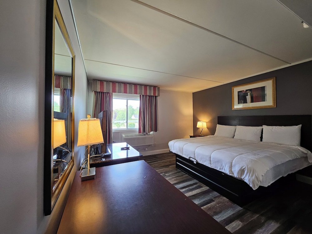 Room, 1 King Bed