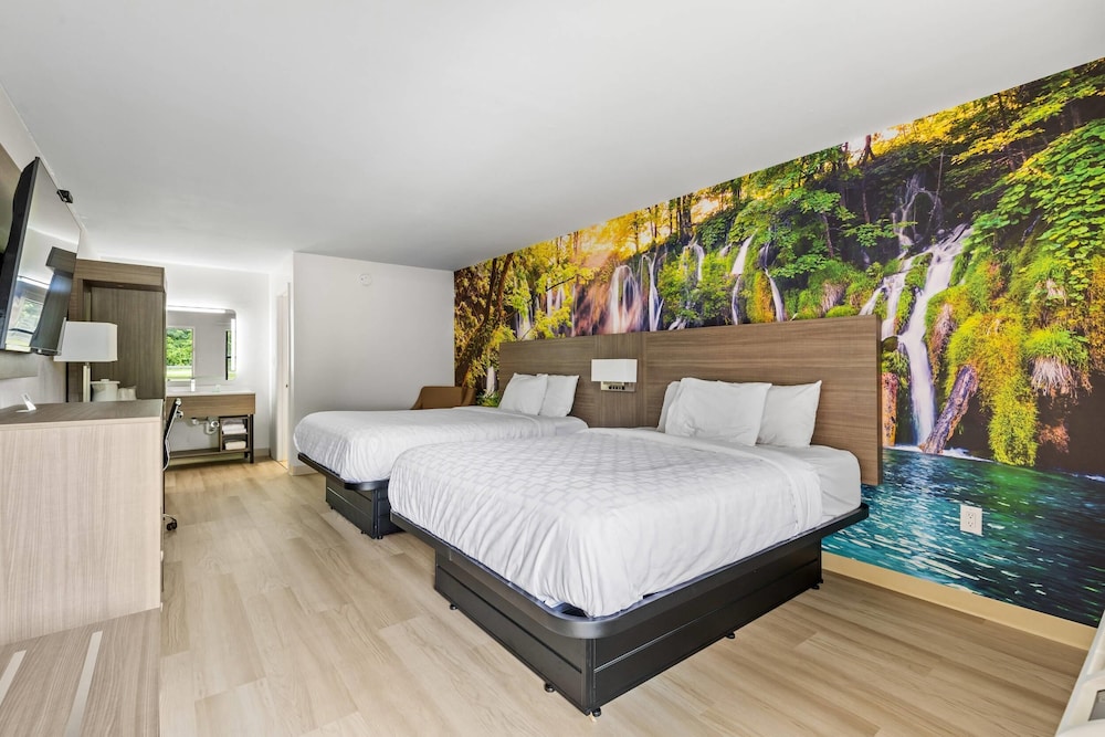 Room, 2 Queen Beds, Non Smoking photo 1