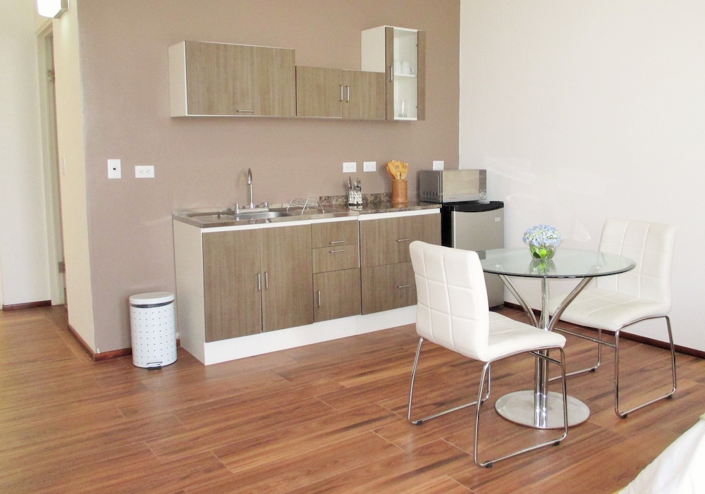 Deluxe Apartment, 1 Bedroom, Kitchen photo 2