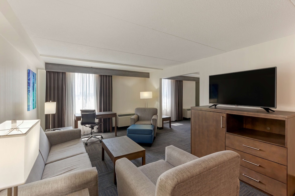 Suite, 1 King Bed, Non Smoking, Kitchenette (with Sofabed)