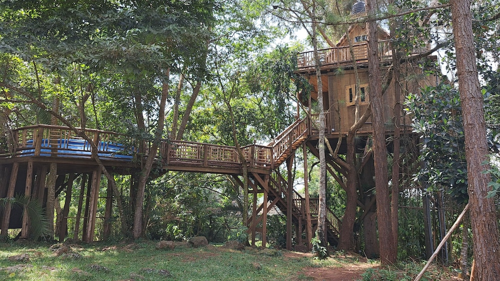 Executive Tree House photo 3