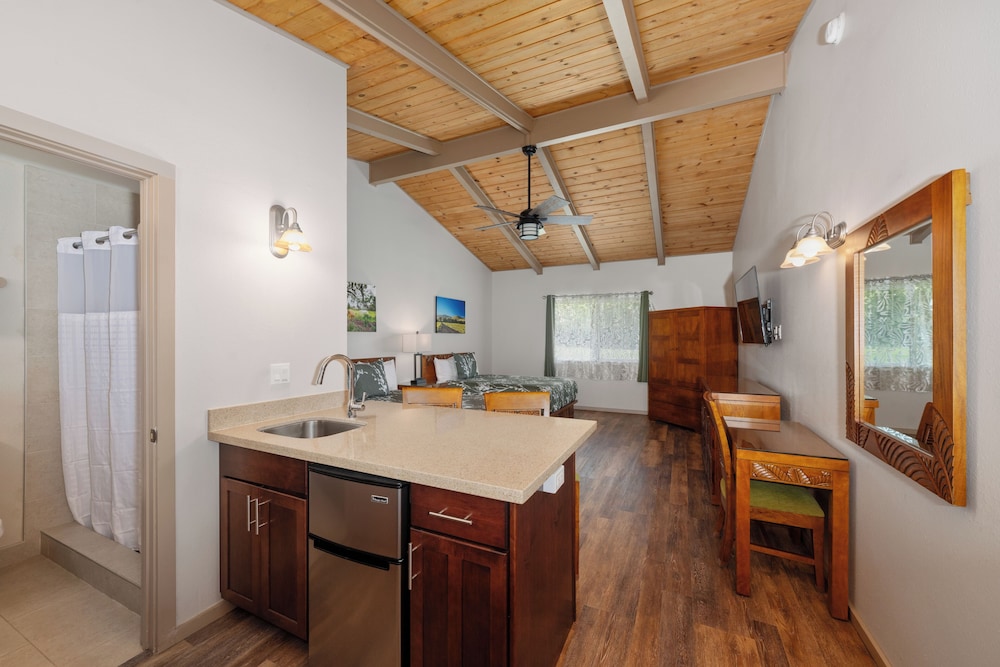 Deluxe Room, Kitchenette - Photo 9