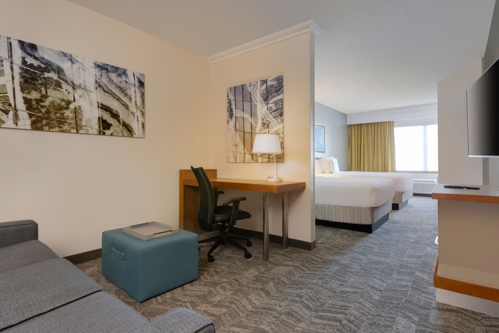 Suite, 1 King Bed with Sofa bed (Mobility/Hearing Access, Roll-In Shwr) - Photo 3