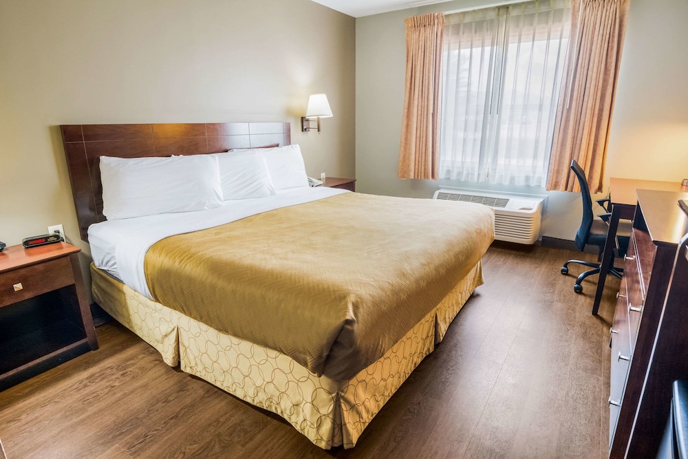 Senior Room, 1 King Bed, Accessible, Non Smoking photo 1