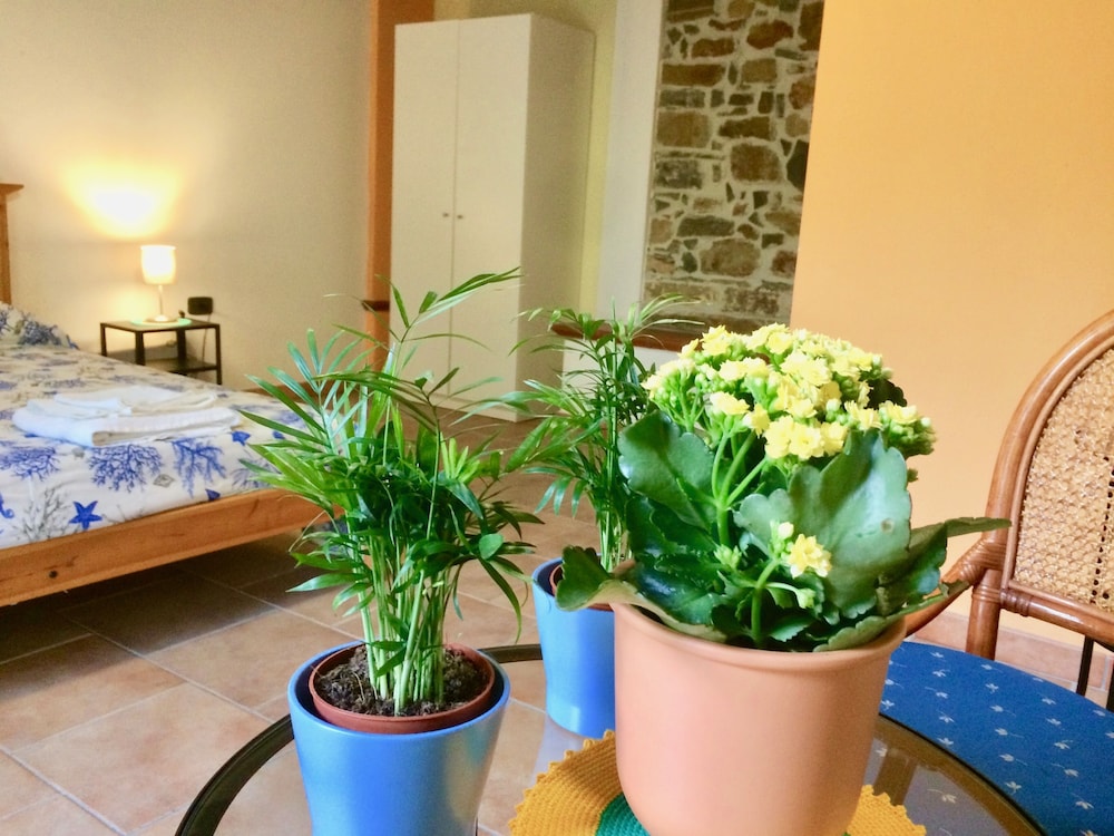 Double Room (Magnolia) photo 2